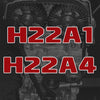 H22A1 / H22A4