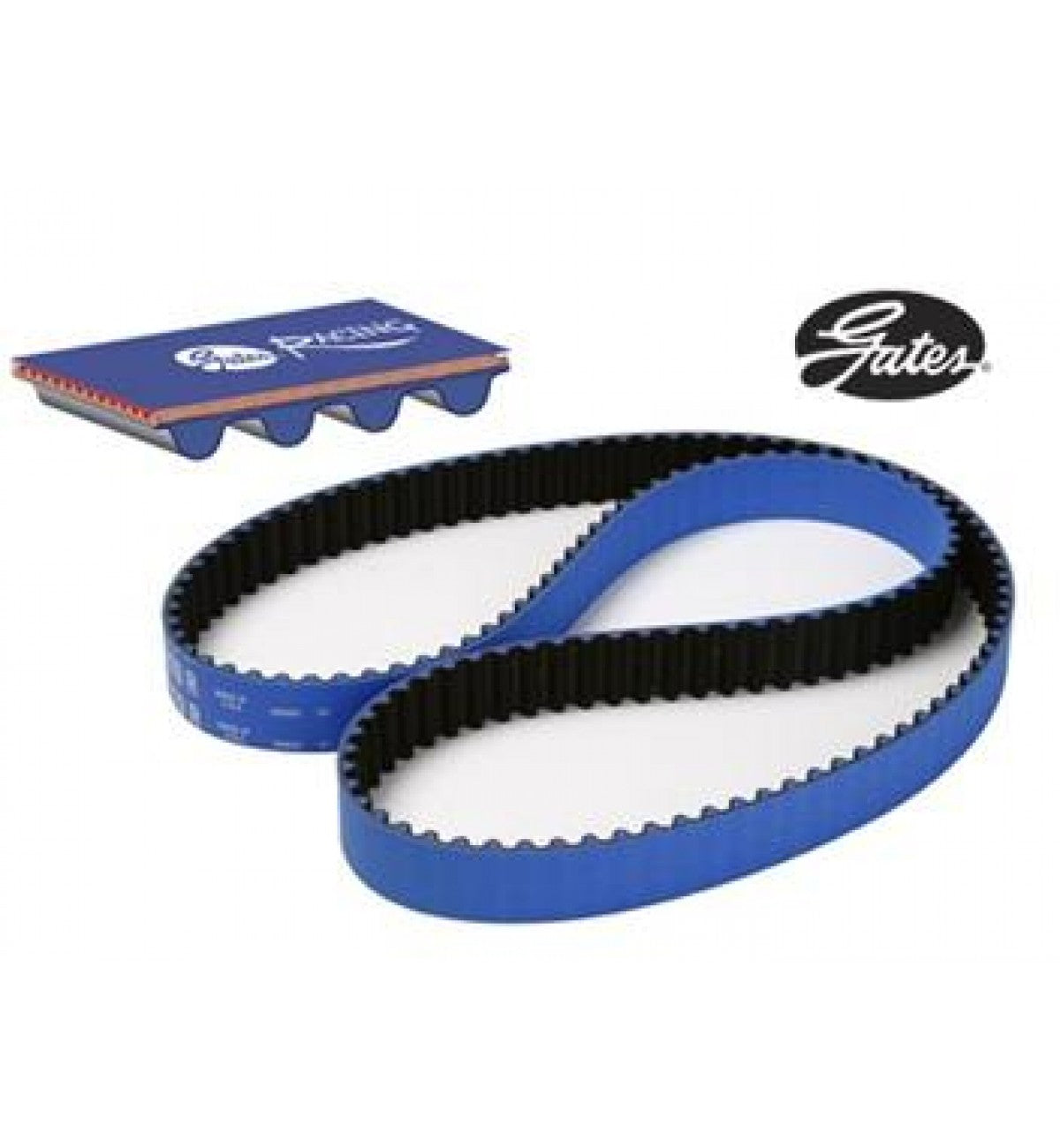 B-Series Timing Belt Tensioner V2 - B Series - Ricky Racer